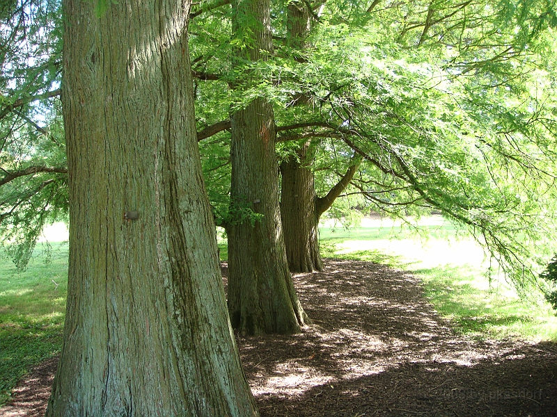 025 Longwood Gardens [2008 August 23].JPG - Longwood Gardens in Pennsylvania